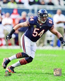 Brian Urlacher 2012 Action Photo