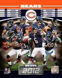 Chicago Bears 2012 Team Composite Photo