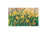 Schwertlilien Premium Giclee Print by Karl Schmidt-Rottluff