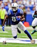 Reggie Wayne 2012 Action Photo