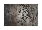 Silver Whispers I Giclee Print by Aparicio Edward