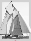 Les Voiles de Saint Tropez Posters by Plisson Philip