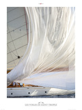 Les Voiles de Saint Tropez Poster by Plisson Philip