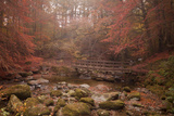 Misty Autumn Valley Near Ambleside, Lake District National Park, Cumbria, England, United Kingdom Photographic Print by Ian Egner