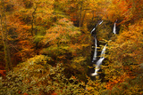 Stock Ghyll Force Waterfall in Autumn, Lake District National Park, Cumbria, England, UK Photographic Print by Ian Egner