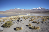 Landscape of Laguna Canapa on Altiplano, Potosi Department, Bolivia, South America Photographic Print by Ian Trower