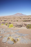 Landscape of Altiplano, Potosi Department, Bolivia, South America Photographic Print by Ian Trower