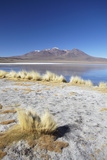 Landscape of Laguna Canapa on Altiplano, Potosi Department, Bolivia, South America Photographic Print by Ian Trower