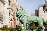 One of Two Iconic Bronze Lion Statues Outside the Art Institute of Chicago, Chicago, Illinois, USA Photographic Print by Amanda Hall