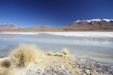 Laguna Adeyonda on Altiplano, Potosi Department, Bolivia, South America Photographic Print by Ian Trower