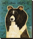 Shetland Sheepdog (Black & White) Stretched Canvas Print by Golden John W.