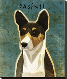 Basenji (Tri-Color) Stretched Canvas Print by Golden John W.