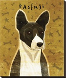 Basenji (Black) Stretched Canvas Print by Golden John W.
