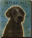 Black Labradoodle Stretched Canvas Print by Golden John W.