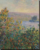 Flower Beds at Vetheuil, 1881 Stretched Canvas Print by Monet Claude