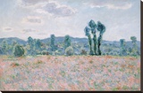 Poppy Field, 1890 Stretched Canvas Print by Monet Claude