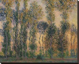 Poplars at Giverny, Sunrise, 1888 Stretched Canvas Print by Monet Claude