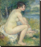 Nude in a Landscape, 1883 Stretched Canvas Print by Renoir Pierre-Auguste