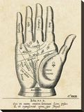 Palmistry: Palm Diagram Stretched Canvas Print by Unknown Unknown