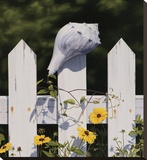 The Garden by the Sea Stretched Canvas Print by Saylor Jack
