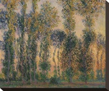 Poplars at Giverny, Sunrise, 1888 Stretched Canvas Print by Claude Monet