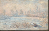 Le Givre, 1880 Stretched Canvas Print by Monet Claude