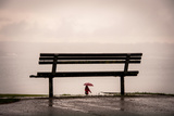 Let it Rain Photographic Print by Sharon Wish