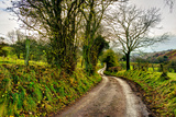 Going Home Photographic Print by Mark Gemmell