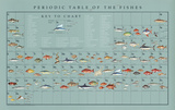 periodic table wall poster