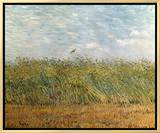 Wheat Field with a Lark Framed Canvas Print by Vincent van Gogh