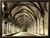 Salisbury Arches Framed Photographic Print by Judith Bartos