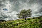 Blowing Over Photographic Print by Mark Gemmell