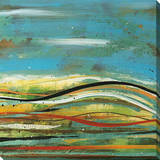 High Plains 4 Stretched Canvas Print by Scott Hile