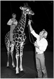 Circus Archival Photo Poster Posters
