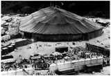 Circus Archival Photo Poster Posters
