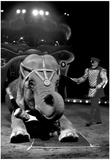 Circus Archival Photo Poster Poster