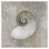 Nautilus I Art by Elena Ray