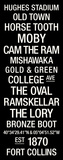 Colorado State: College Town Wall Art Stretched Canvas Print