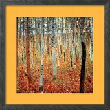 Forest of Beech Trees, c.1903 Posters by Klimt Gustav