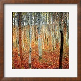 Forest of Beech Trees, c.1903 Prints by Klimt Gustav