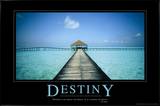Le Destin Photographie