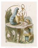 Alice Mushroom Prints