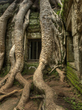 The Ta Prohm Temple Located at Angkor in Cambodia Photographic Print by Kyle Hammons