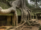 The Ta Prohm Temple Located at Angkor in Cambodia Photographic Print by Kyle Hammons