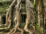 The Ta Prohm Temple Located at Angkor in Cambodia Photographic Print by Kyle Hammons