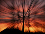 Motion Blur Abstract of Firey Sunset Through Bradford Pear Trees in Fuquay Varina, North Carolina Photographic Print by Melissa Southern