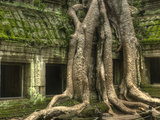 The Ta Prohm Temple Located at Angkor in Cambodia Photographic Print by Kyle Hammons