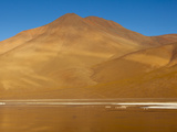 Morning Sunshine Reflects Golden Light Off Laguna Colorada Onto Photographic Print by Sergio Ballivian
