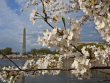 Washington, Dc Photographic Print by Karine Aigner