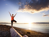 Tree Pose During Sunset on the Beach of Lincoln Park, West Seattle, Washington Photographic Print by Dan Holz